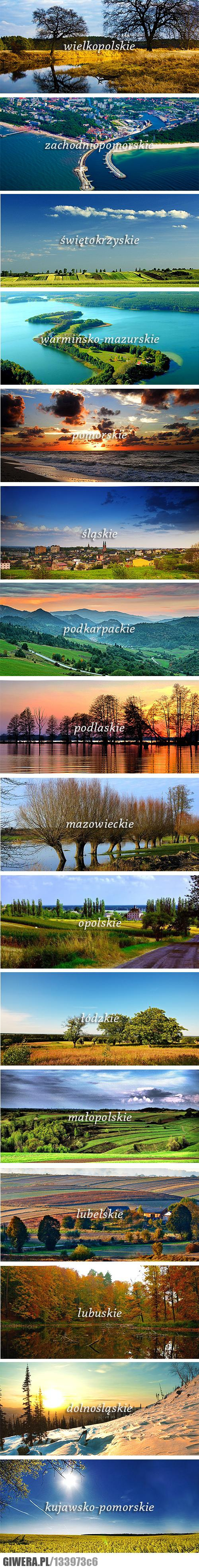 Województwa,Polska