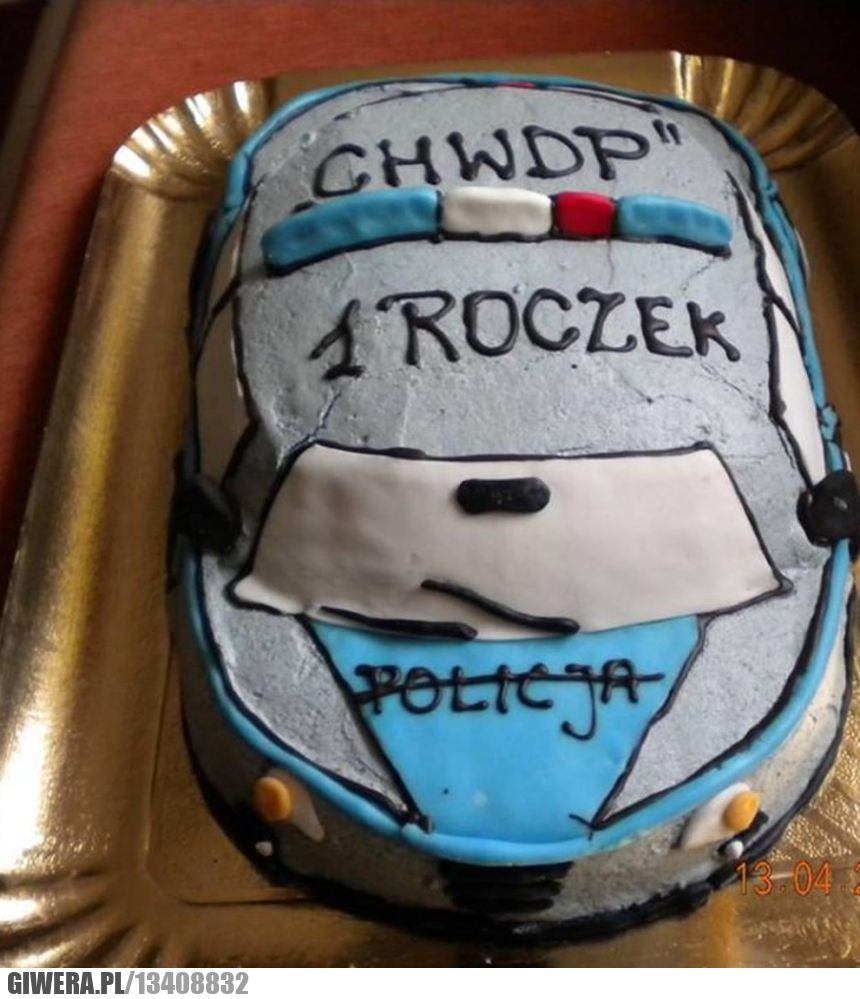 patologia,tort,roczek,chwdp,hwdp