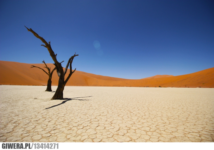 namibia,pustynia
