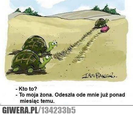 odeszła