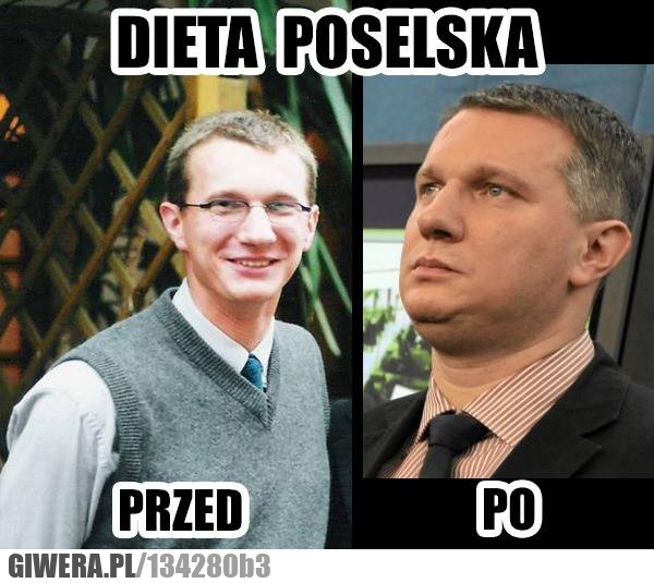 dieta,poselska.