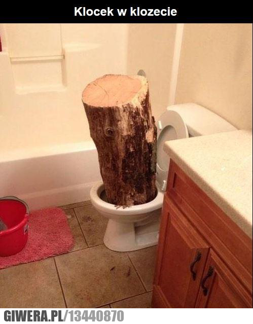 klocek,wc
