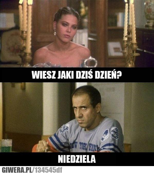 jak dziś dzień