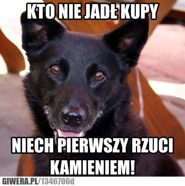 kupa,nie jadł