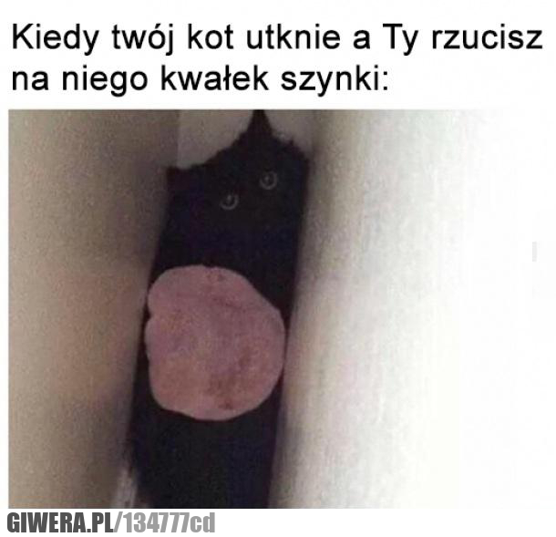 kiedy