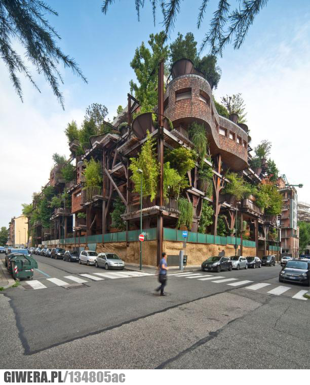 Drzewa,Turyn,Architektura