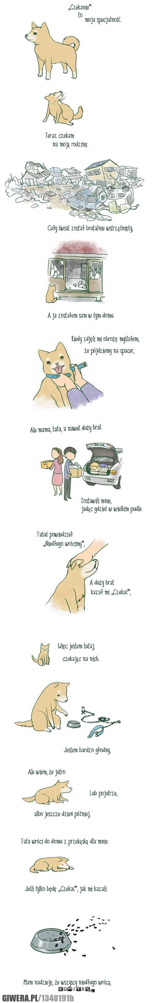 tag