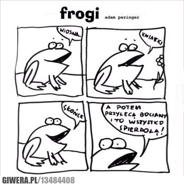 frogi