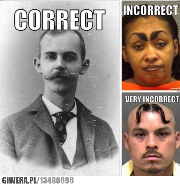 Wąsy