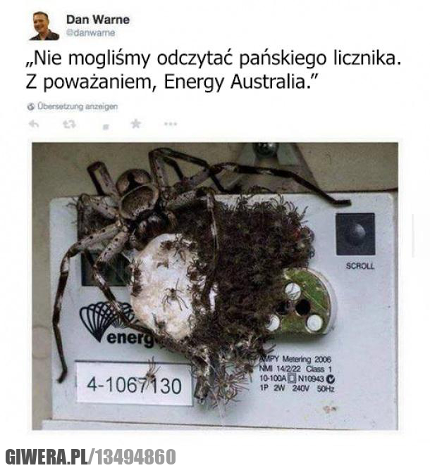 licznik