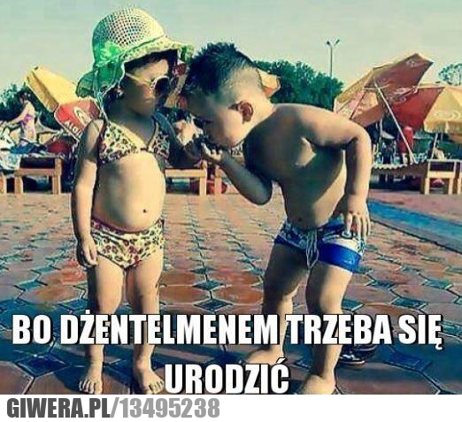 dżentelmen