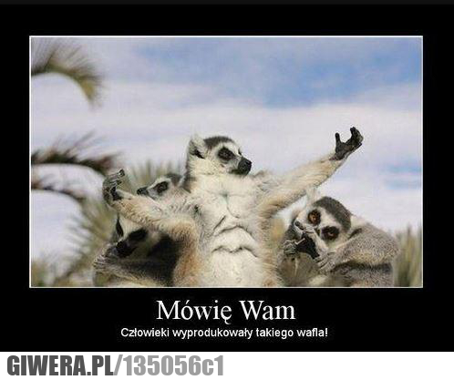 mówię wam