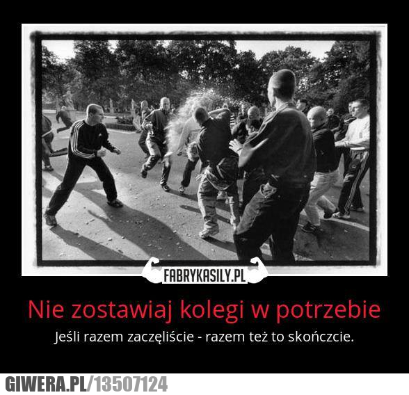 koledzy