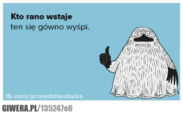 wstaje