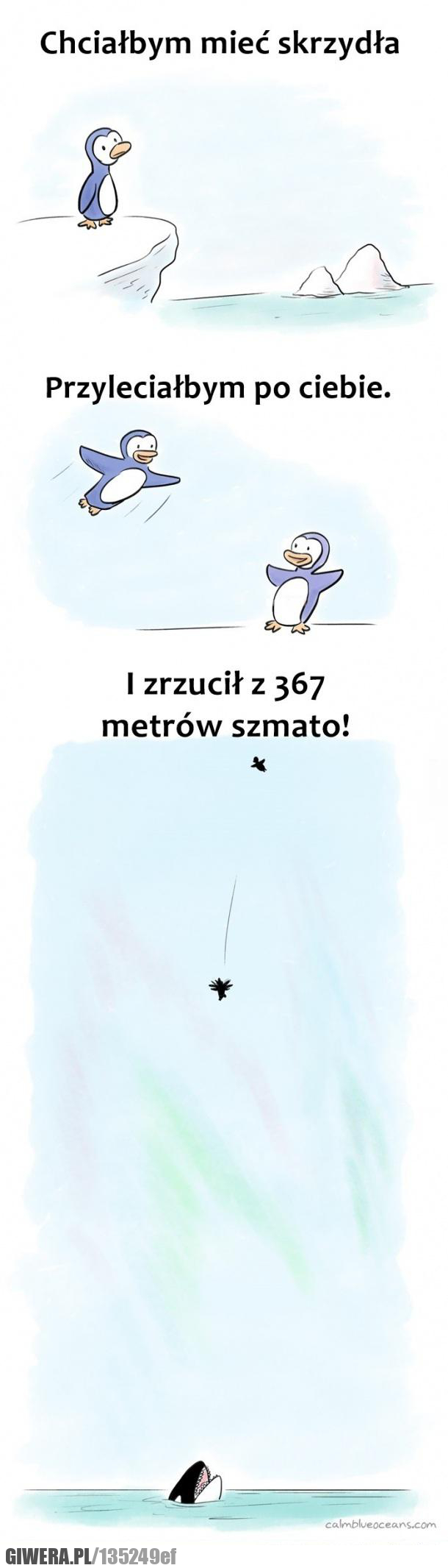 chciałbym