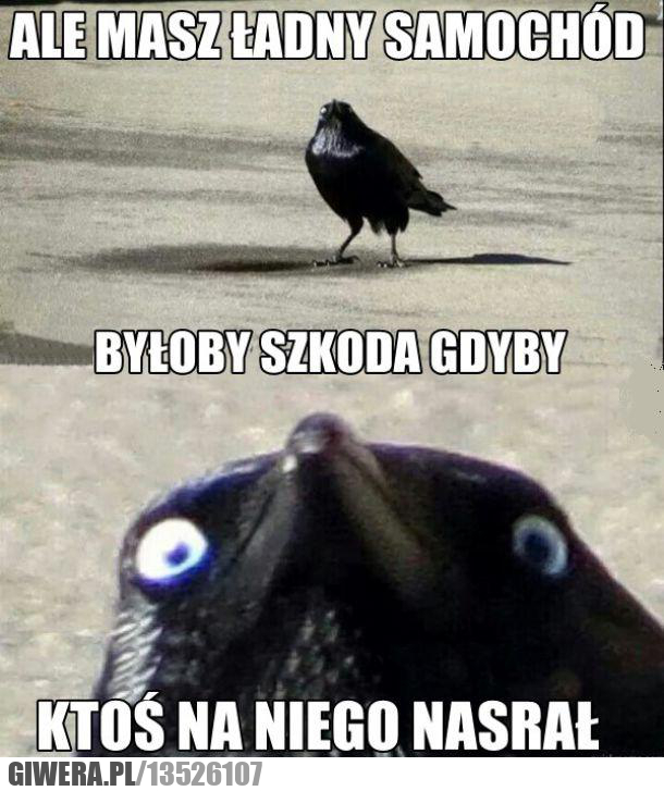 samochód
