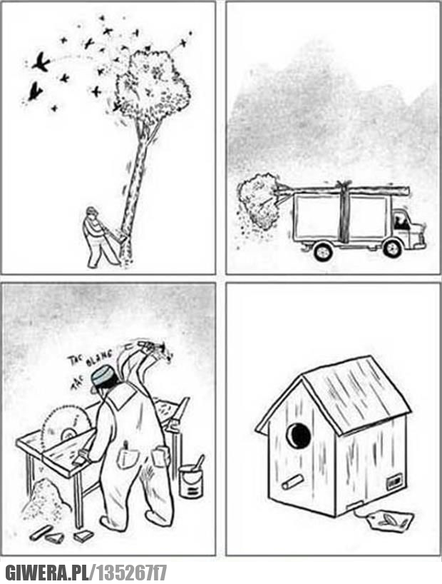 ptaki, drzewo, natura, pomoc