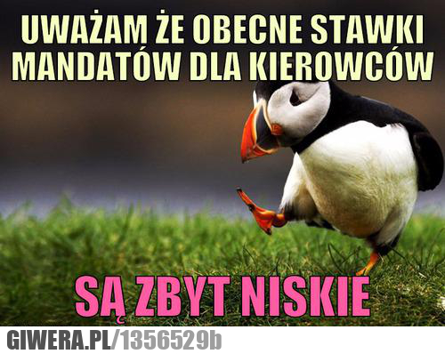 stawki , mandatów , uważam , memy.