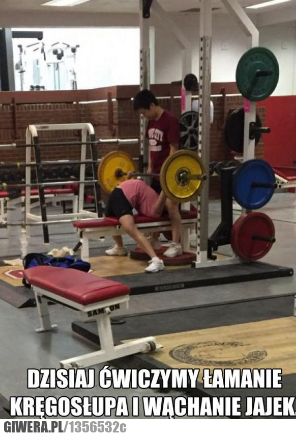 siłownia , kręgoslup.