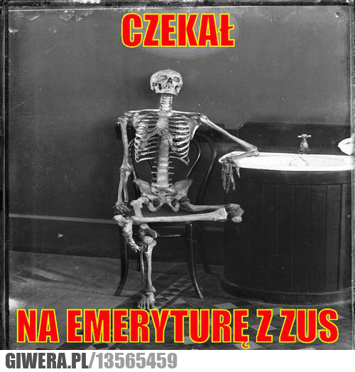 czekał , memy.