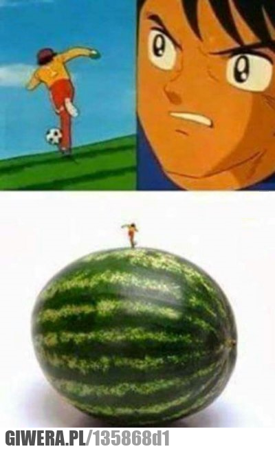 Kapitan Jastrząb,Kapitan Hawk,Captain Tsubasa,Kodziro