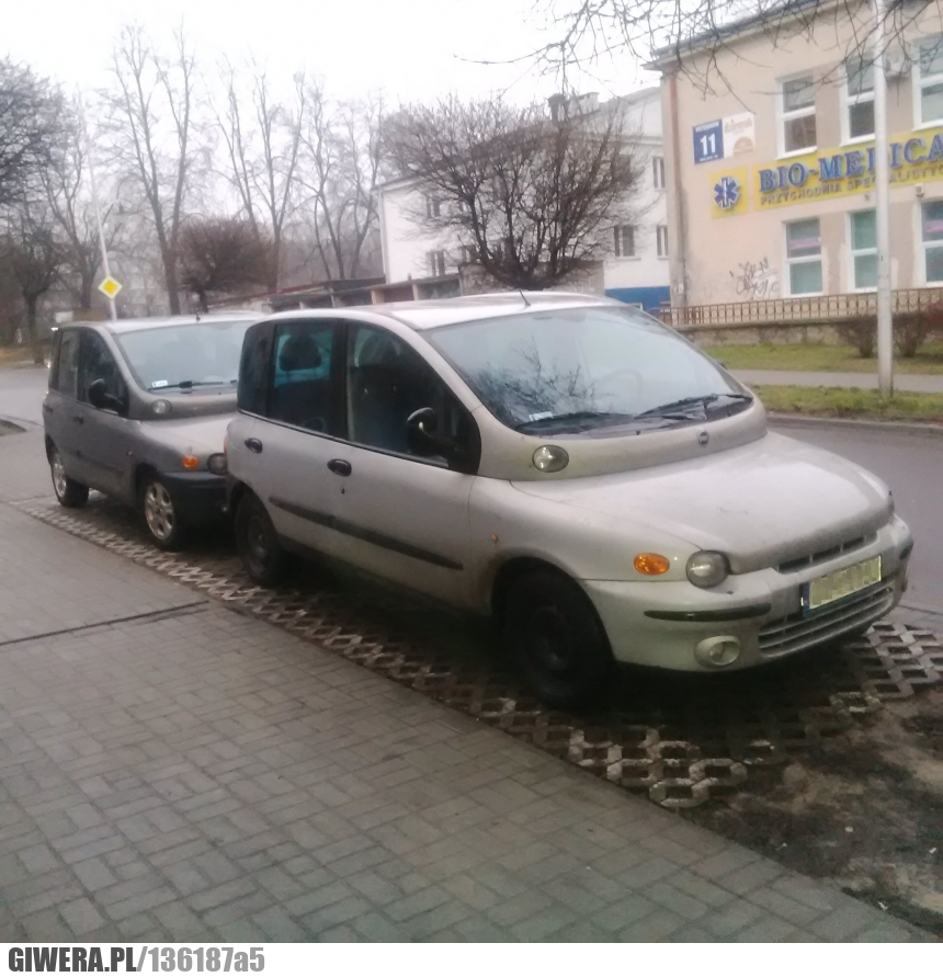 Combo,Multipla