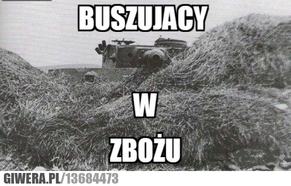 zboże