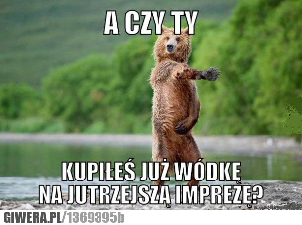 a czy ty, wódka