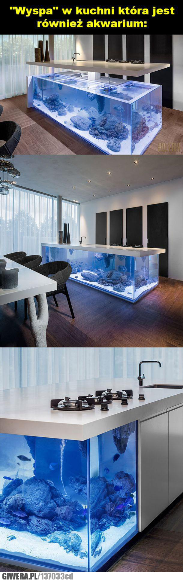 kuchnia,akwarium