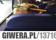 Coś poszło nie tak