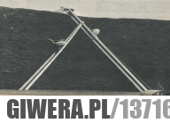 11 metrowy żywopłot