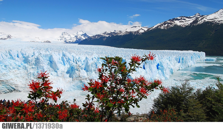 Lodowiec,Chile,Earthporn