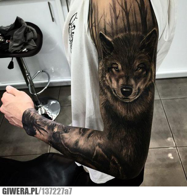 Tatuaż,wilk