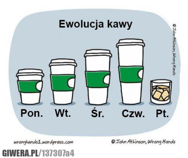 ewolucja,kawa