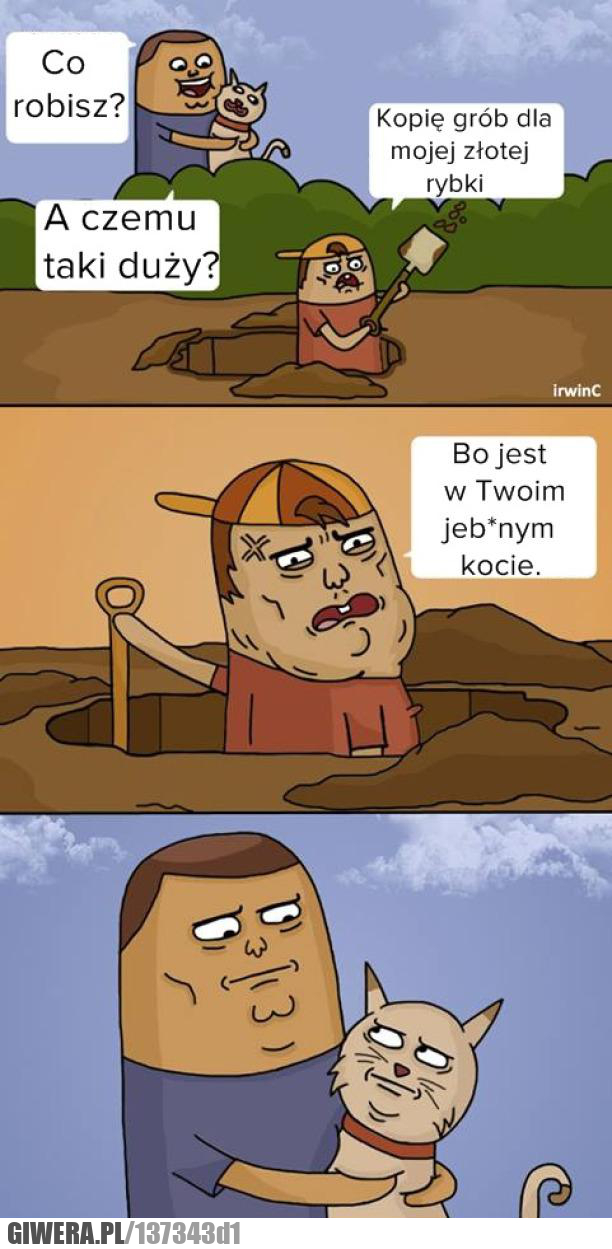 Złota rybka,grób,kot