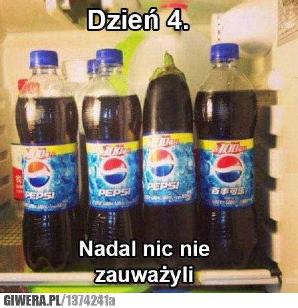 dzień,bakłażan