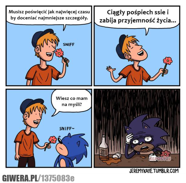 wiesz co mam na myśli