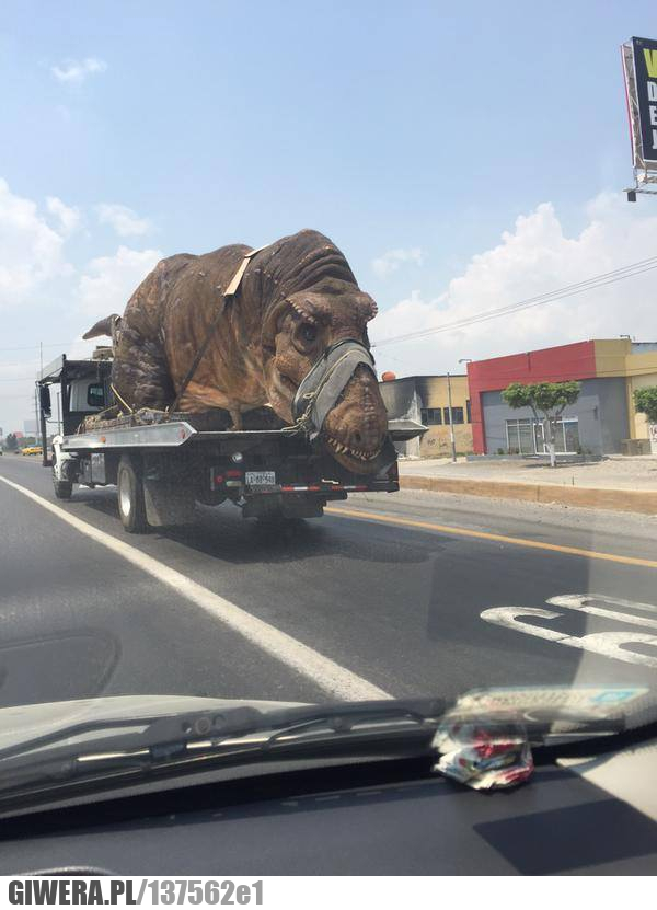 Dinozaur,potwór,autostrada