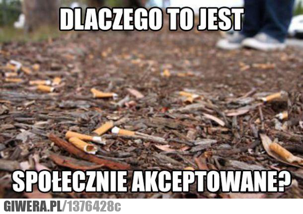 dlaczego