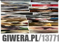 Bezdomne kotki odnajdują dom