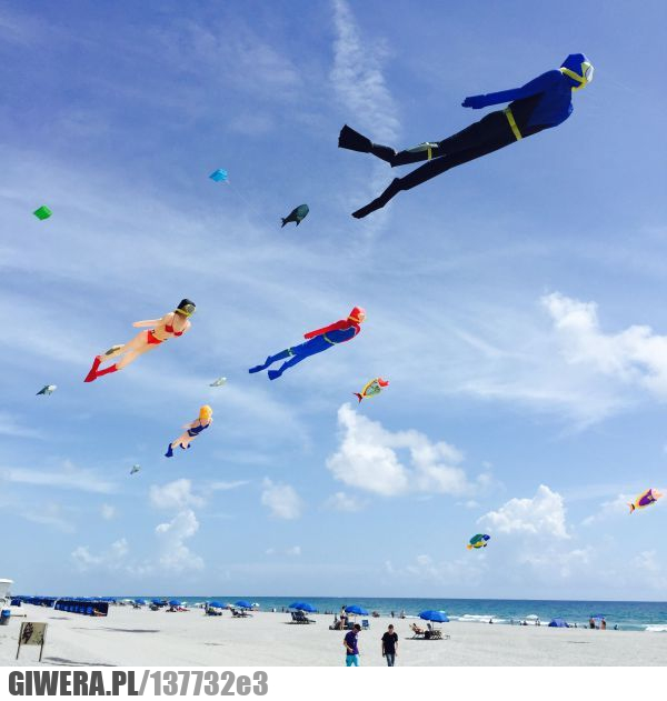 plaża,latawce