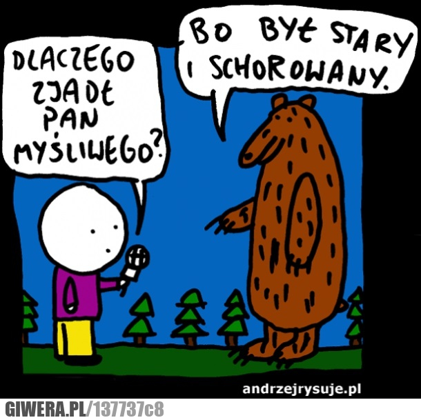 myśliwy,niedźwiedź