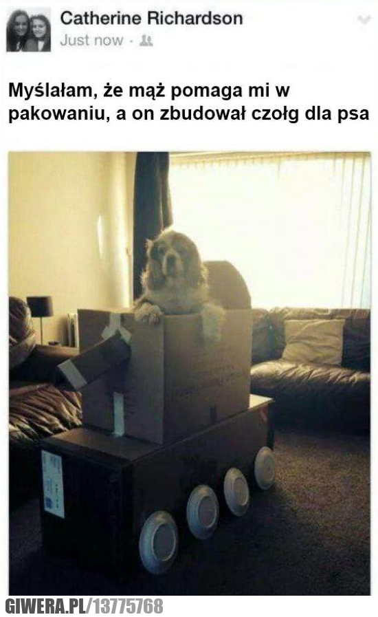 czołg,pies,pakowanie,kartony