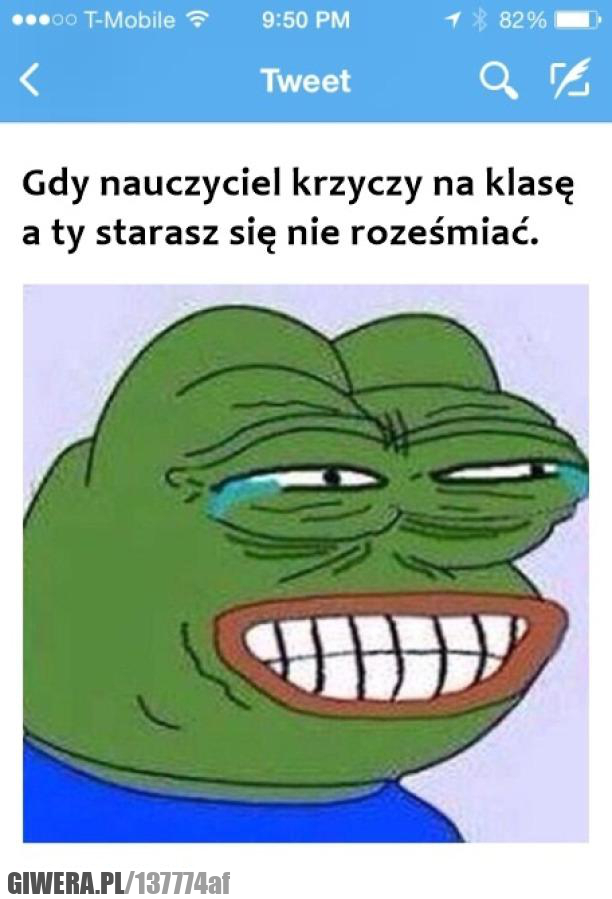 nauczyciel