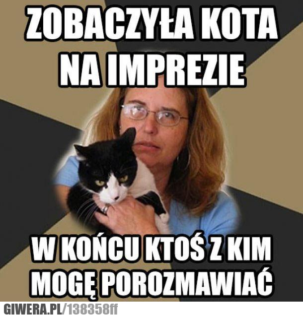 kot,impreza,kociara,