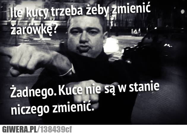 Kuce