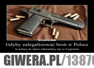 Dlaczego nie ma legalizacji broni w Polsce.