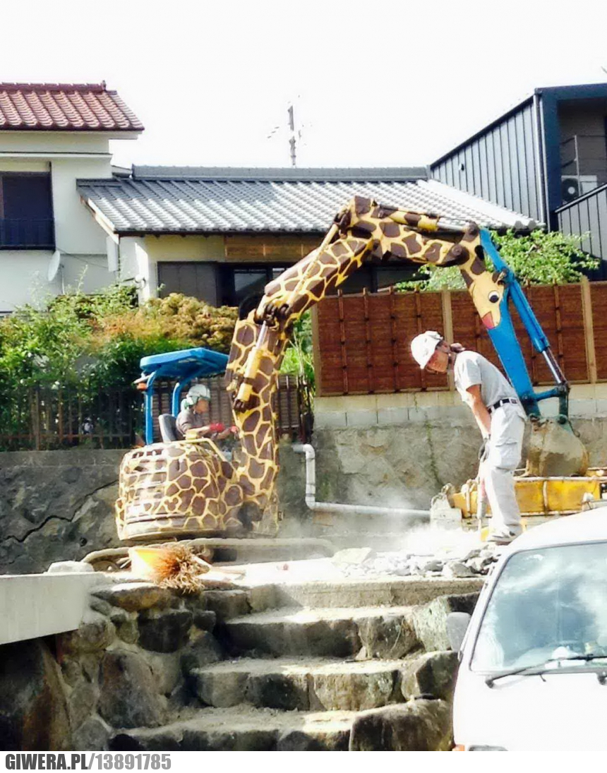 Żyrafa,koparka