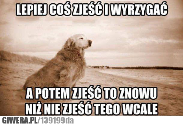 zjeść,