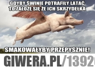 Świnie